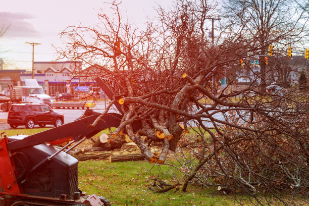 Seasonal Cleanup (Spring/Fall) in Macopin, NJ